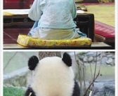 做一回娱乐圈吃瓜群众,揭秘明星幕后故事，做一回吃瓜群众！