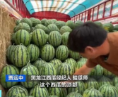 娱乐吃瓜酱爷爷花篮,揭秘娱乐圈背后的温馨故事