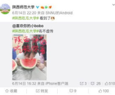 娱乐吃瓜酱考大学,娱乐吃瓜酱带你领略大学生活的多彩画卷
