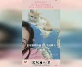 娱乐猫吃瓜记,揭秘娱乐圈幕后风云