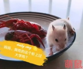 吃瓜娱乐背景板,揭秘娱乐圈幕后那些事儿