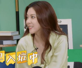 娱乐吃瓜宋妍霏,揭秘明星背后的故事
